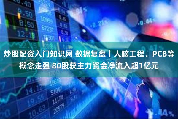炒股配资入门知识网 数据复盘丨人脑工程、PCB等概念走强 80股获主力资金净流入超1亿元