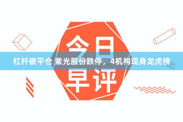 杠杆被平仓 紫光股份跌停，4机构现身龙虎榜