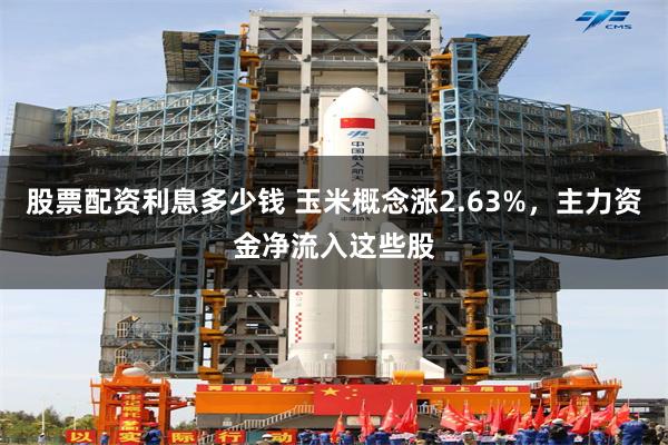 股票配资利息多少钱 玉米概念涨2.63%，主力资金净流入这些股