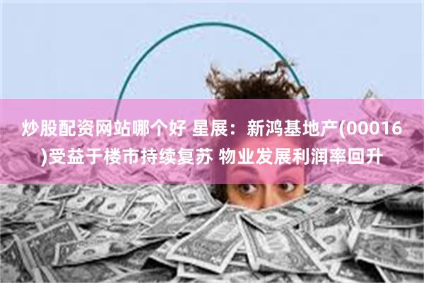 炒股配资网站哪个好 星展：新鸿基地产(00016)受益于楼市持续复苏 物业发展利润率回升