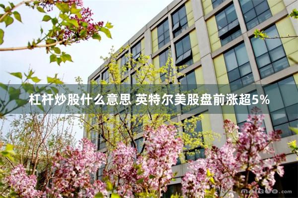 杠杆炒股什么意思 英特尔美股盘前涨超5%