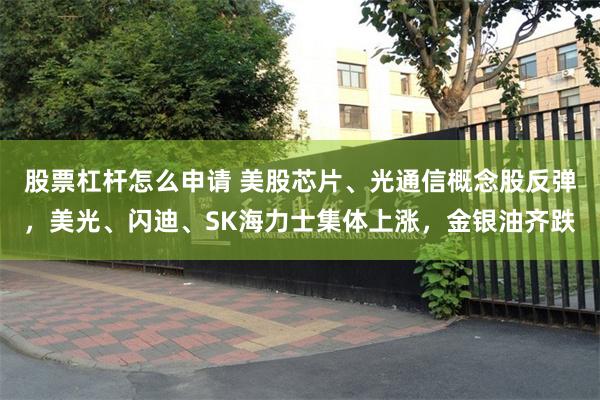 股票杠杆怎么申请 美股芯片、光通信概念股反弹，美光、闪迪、SK海力士集体上涨，金银油齐跌