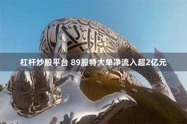 杠杆炒股平台 89股特大单净流入超2亿元