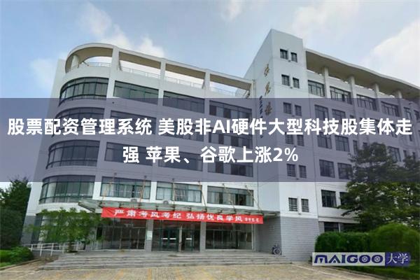 股票配资管理系统 美股非AI硬件大型科技股集体走强 苹果、谷歌上涨2%