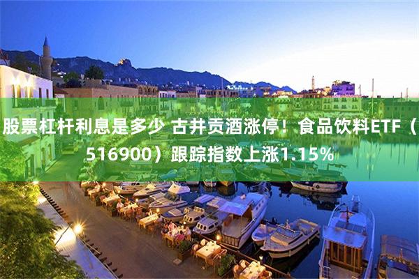 股票杠杆利息是多少 古井贡酒涨停！食品饮料ETF（516900）跟踪指数上涨1.15%