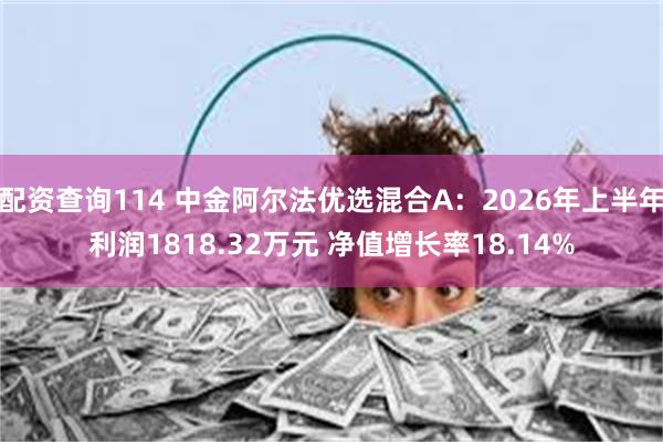 配资查询114 中金阿尔法优选混合A：2026年上半年利润1818.32万元 净值增长率18.14%