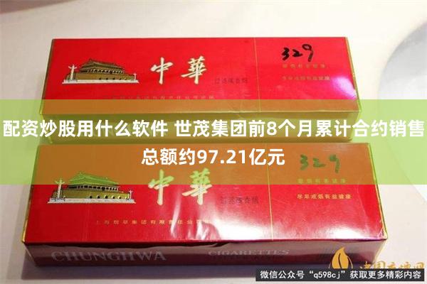 配资炒股用什么软件 世茂集团前8个月累计合约销售总额约97.21亿元