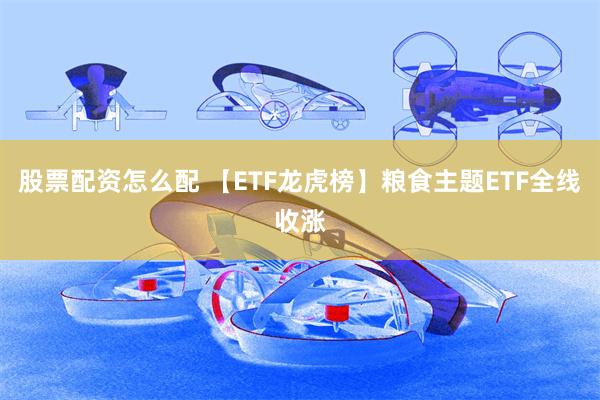股票配资怎么配 【ETF龙虎榜】粮食主题ETF全线收涨