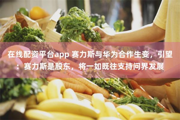 在线配资平台app 赛力斯与华为合作生变，引望：赛力斯是股东，将一如既往支持问界发展