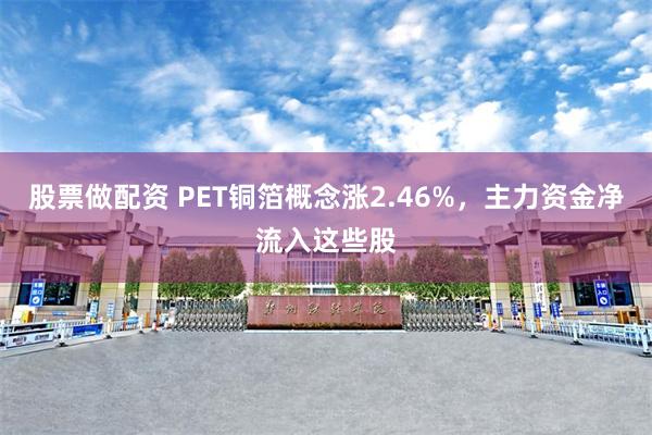 股票做配资 PET铜箔概念涨2.46%，主力资金净流入这些股