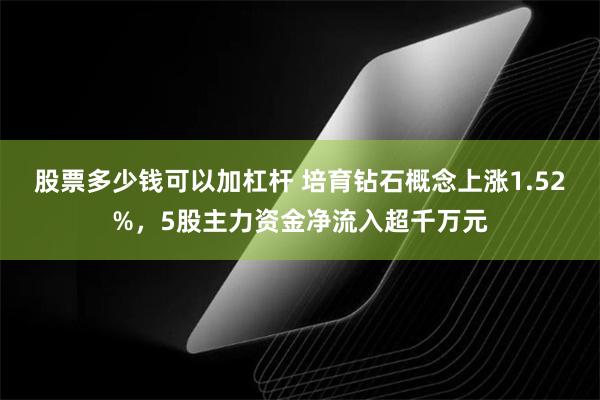 股票多少钱可以加杠杆 培育钻石概念上涨1.52%，5股主力资金净流入超千万元