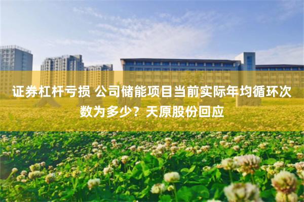 证券杠杆亏损 公司储能项目当前实际年均循环次数为多少？天原股份回应