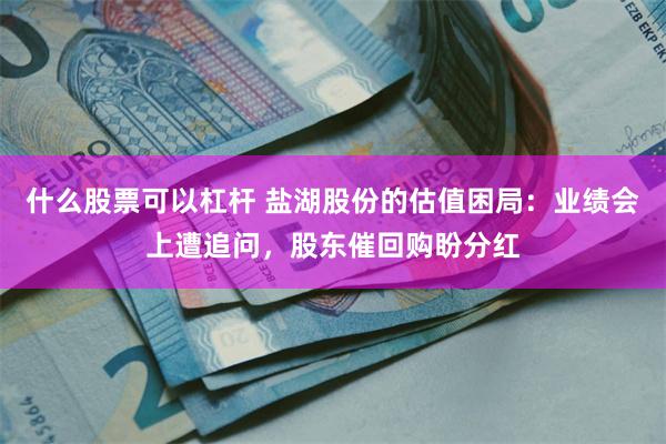 什么股票可以杠杆 盐湖股份的估值困局：业绩会上遭追问，股东催回购盼分红