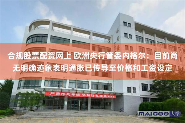 合规股票配资网上 欧洲央行管委内格尔：目前尚无明确迹象表明通胀已传导至价格和工资设定