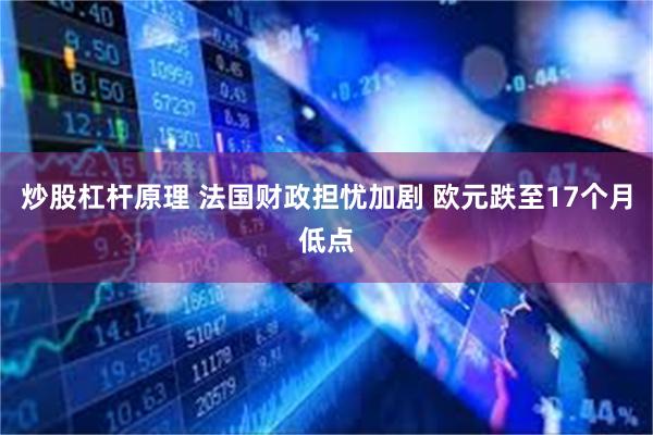 炒股杠杆原理 法国财政担忧加剧 欧元跌至17个月低点