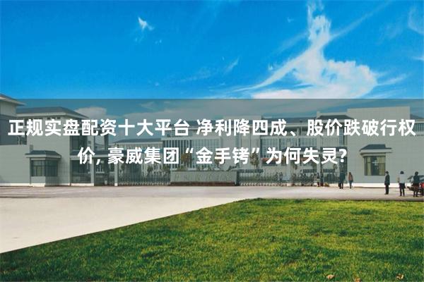 正规实盘配资十大平台 净利降四成、股价跌破行权价, 豪威集团“金手铐”为何失灵?