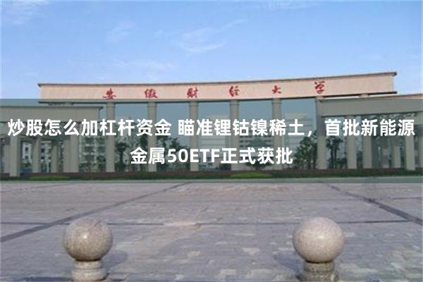 炒股怎么加杠杆资金 瞄准锂钴镍稀土，首批新能源金属50ETF正式获批