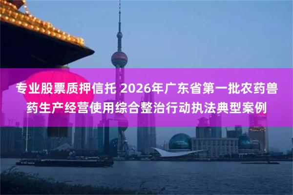专业股票质押信托 2026年广东省第一批农药兽药生产经营使用综合整治行动执法典型案例