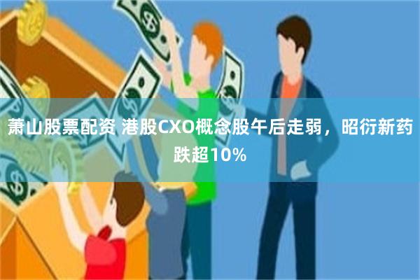 萧山股票配资 港股CXO概念股午后走弱，昭衍新药跌超10%